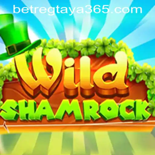 Exploring the Allure of WildShamrock and Taya365 Bet Register